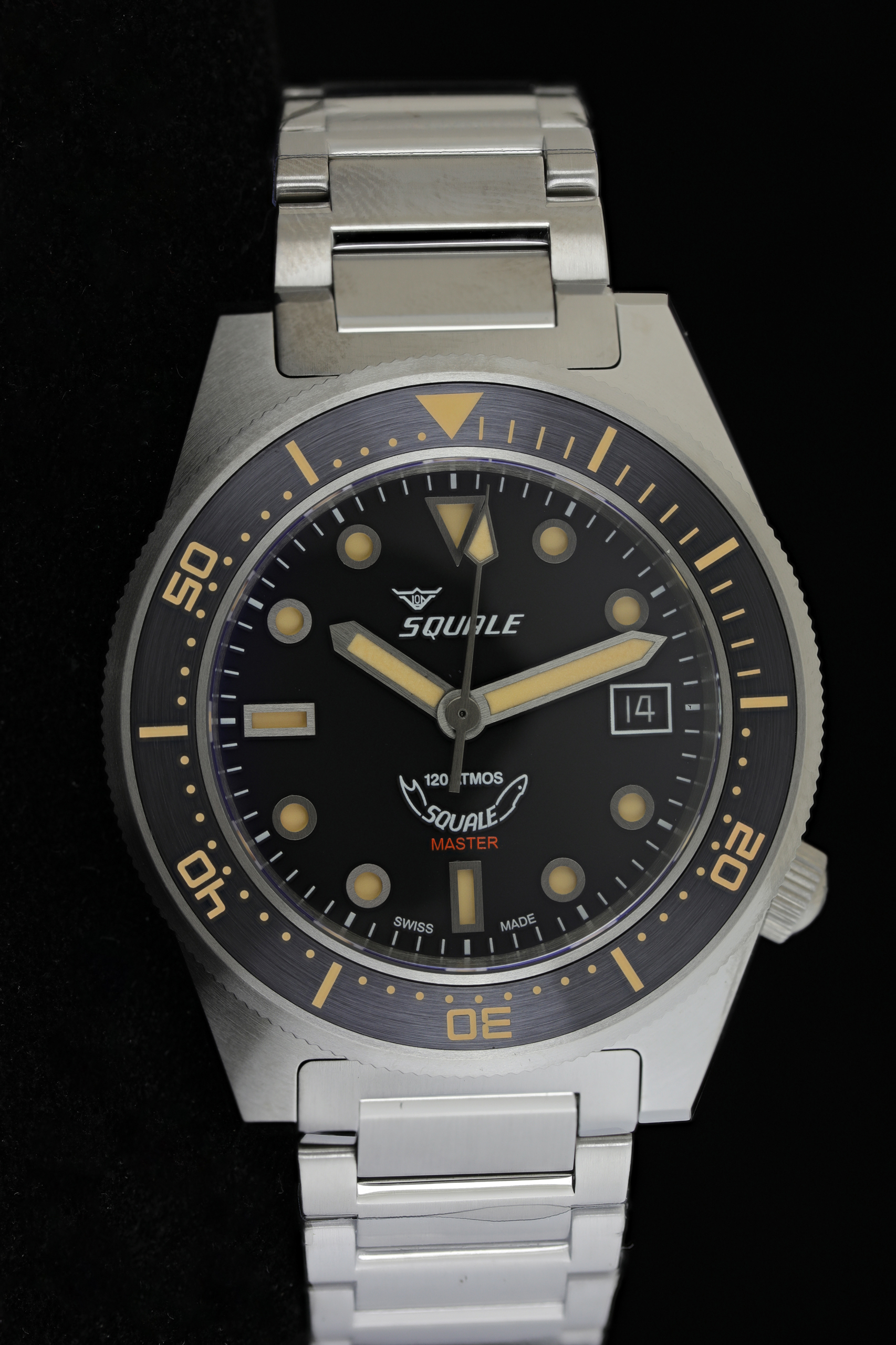 squale Master titanio 2
