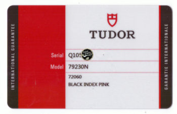 tudor gara1