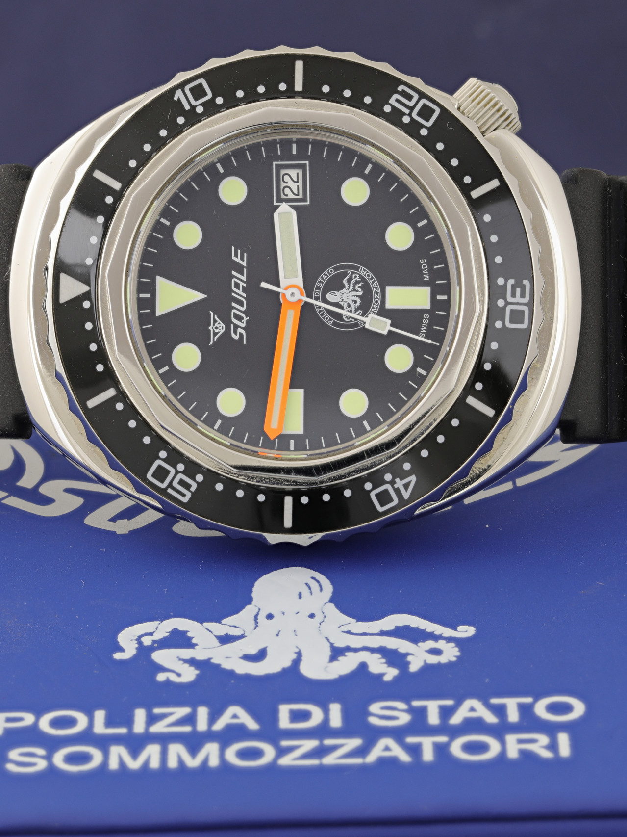 Squale polipetto 1 uai