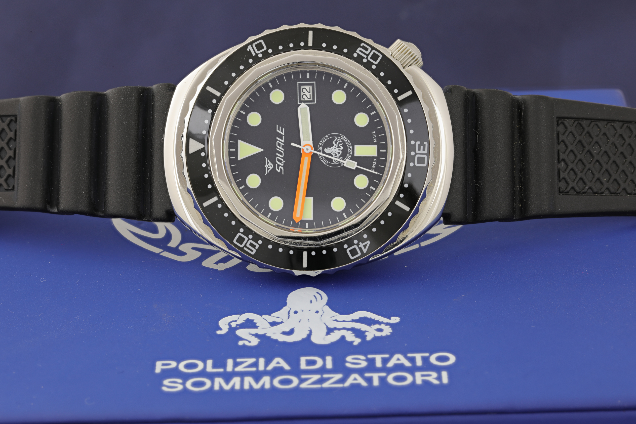 Squale polipetto 1