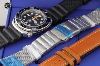 Squale polipetto b