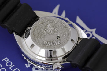 Squale polipetto c