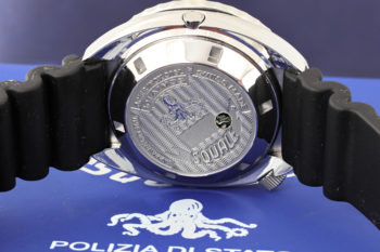Squale polipetto d