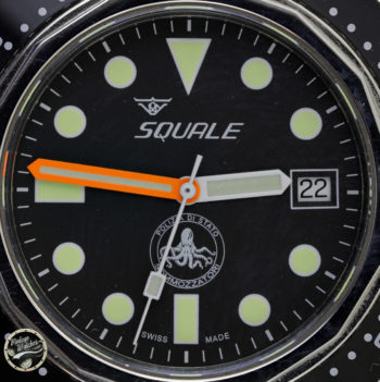 Squale polipetto g