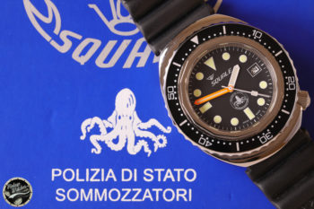 squale polipetto 3