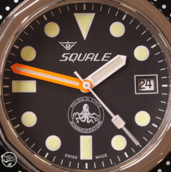 squale polipetto quadrante 1