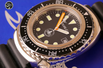 squale polipetto traverso1 1