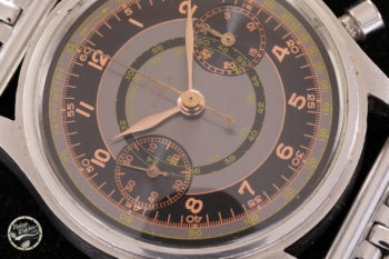 omega2077 3 quadrante profilo