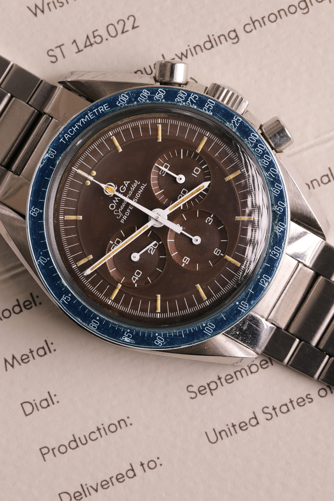 OMEGA brown blu 1 uai