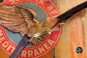 39004 526781 profilo